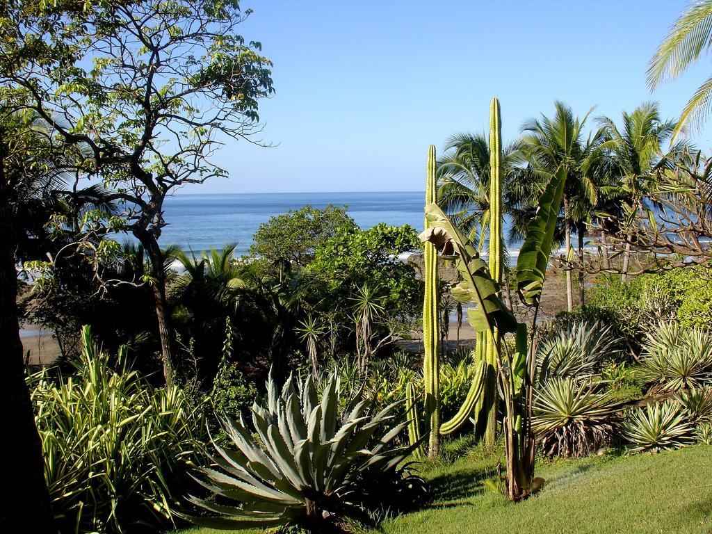 Casas Pelicano Playa Junquillal Eksteriør billede